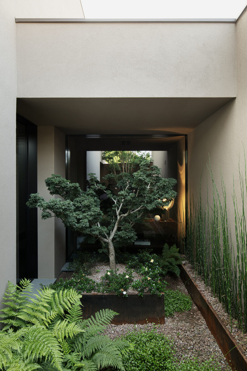 Didonecomacchio_HOUSE_DM_ESTERNI_V5A9861_LR - Mountech